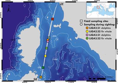 Ferries and Environmental DNA: Underway Sampling From Commercial Vessels Provides New Opportunities for Systematic Genetic Surveys of Marine Biodiversity